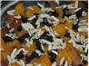 Maple Glazed Yams. Recipe by TeresaS