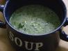 Easy & Delicious Broccoli Cheese Soup
