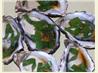 Oysters With Soy and Sesame Dressing