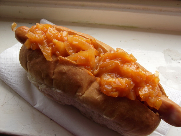New York Hot  Dog Cart Onion Sauce. Photo by Frugal Fifer