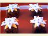 No Bake Mini Christmas Cakes