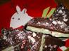 Reindeer Bark