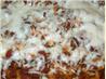 Baked Penne With Ground Beef and Tomato Sauce