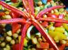 Taste of Morocco