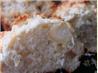 Macadamia Nut Muffins. Recipe by Vseward (Chef~V)