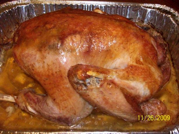 Kittencal's Perfect Roasted Whole Turkey (Great for Beginners). Photo by internetnut