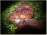 Kittencal's Easy and Delicious Ranch-Parmesan Chicken