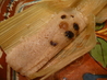 Sweet Tamales
