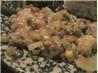 Seriously Comforting - Ground Beef, and Taters' Casserole