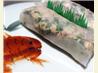 Rice Paper Tuna Salad Roll. Recipe by deepfreeze