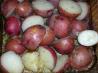 Super Easy Roasted Red Potatoes