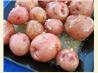 Super Easy Roasted Red Potatoes