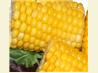 Honey Corn for the BBQ / Grill