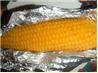 Honey Corn for the BBQ / Grill
