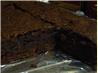 My Famous Outrageous Brownies