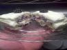 Blackberry Velvet Cake With Cream Cheese Icing