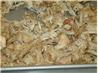 Simpy's Carnitas