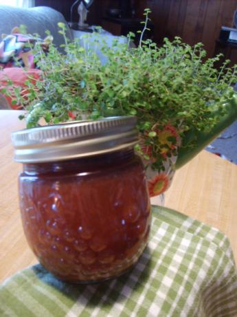 Chinese Plum Sauce. Photo by Chef on the coast