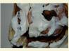 Super Fantastic Cinnamon Rolls (Bread Machine Recipe)