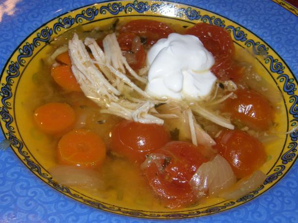 Yucatan - Style Chicken and Vegetable Soup. Photo by mydesigirl