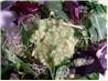 Really Green Salad With Avocado Lemon Dressing