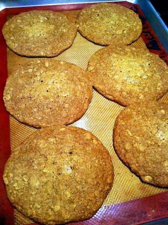 Harvest Oatmeal Chocolate Chip Cookies. Photo by JoyBugaloo