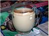 Tea Toddy