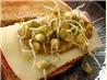 How to Sprout Lentils