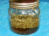Honey, the Cat's Dipped the Nip Again ( Catnip Tea )