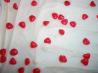 Valentine Bark