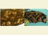 Jamaican Jerk Marinade