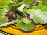 Italian Salad Dressing