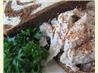 Shredded Chicken and Walnut Sauce
