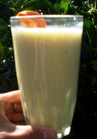 Calci-Yum Protein Drink. Photo by Mami J
