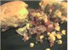 Sausage Veggie Cornbread Casserole. Recipe by SusieQusie
