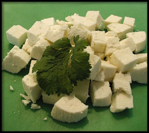 Homemade Paneer (Panir - Indian Cheese). Photo by Sandi (From CA)