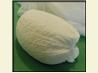 Homemade Paneer (Panir - Indian Cheese)