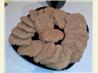 Nutty Peanut Butter & Tahini (Sesame Seed) Soft Cookies