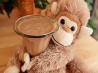 Funky Monkey Smoothie (Super Easy)