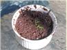 Anchovy Free Black Olive Tapenade
