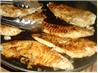 Grilled Tilapia
