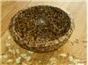 No-Bake Fruit Pie Crust. Recipe by Sydney Mike