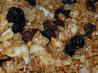 Granola from Syd. Recipe by Sydney Mike