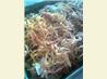 Cheesy Easy Cavatini * Venison Optional