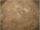 Sourdough Starter from Flakes