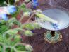 Cucumber Martini !. Recipe by Rita~