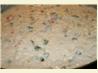 Crab Savannah