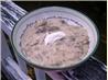 German Lamb in Sour Cream (Crock Pot) (Aka Treasure Trove #1)