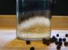 All Purpose Seasoning Salt. Recipe by ROV Chef