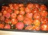 Oven Roasted Tomato Sauce